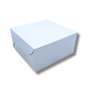 10 x 10 x 4 - White Box - 1